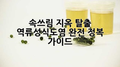 💊 속쓰림 지옥 탈출! 역류성식도염 완전 정복 가이드 🚀