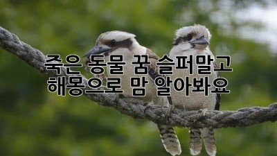 🐾 죽은 동물 꿈? 슬퍼말고 해몽으로 맘 알아봐요! 😴