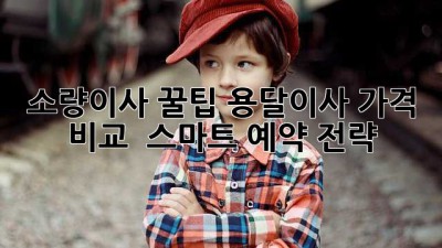소량이사 꿀팁🍯 용달이사 가격 비교 & 스마트 예약 전략!